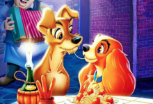 Historinha a dama e o vagabundo - historia para dormir