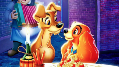 A Dama e o Vagabundo 4 Historinha a dama e o vagabundo - historia para dormir