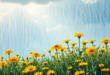 Historinha O Ciclo da Agua - Historia Para Dormir