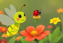 Historinha O Grilo e a Joaninha - Historia Para Dormir