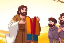 Historinha jose e seus irmaos - historia para dormir